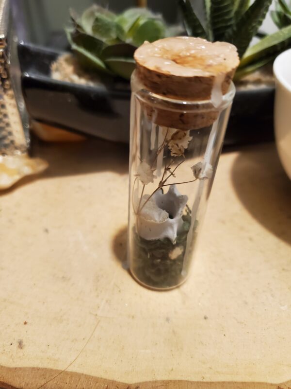 Tiny Botanical Garden- Babies Breath (sold) - Image 2