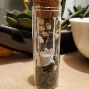 Tiny Botanical Garden- Babies Breath (sold)