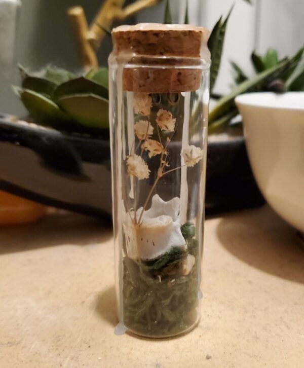 Tiny Botanical Garden- Babies Breath (sold)