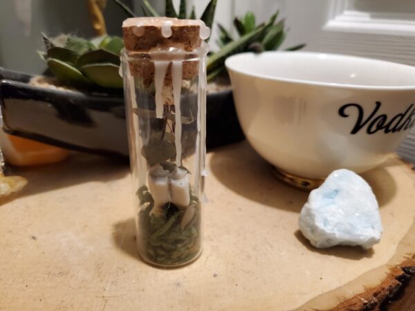 Tiny Botanical Garden- Eucalyptus (sold) - Image 3
