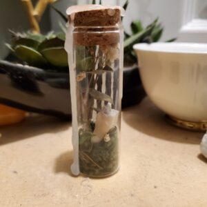 Tiny Botanical Garden- Eucalyptus (sold)