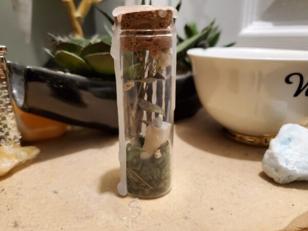 Tiny Botanical Garden- Eucalyptus (sold)