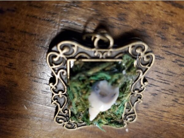 Moss Frame - Brass - Image 3