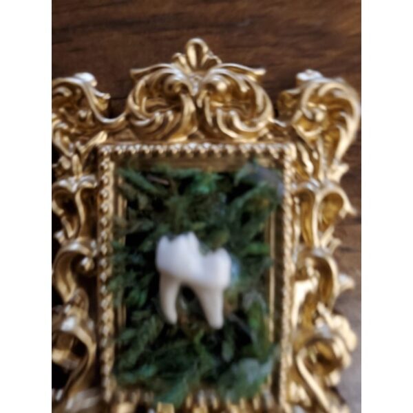 Moss Frame - Gold - Image 2