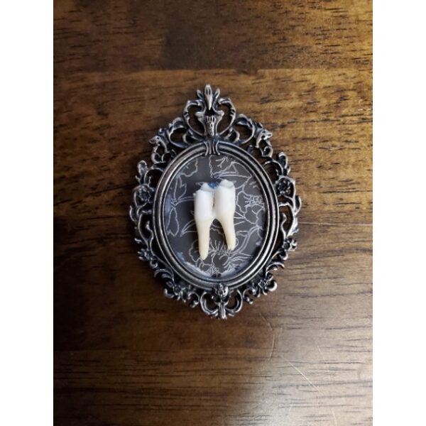 Tooth Frame - Image 2