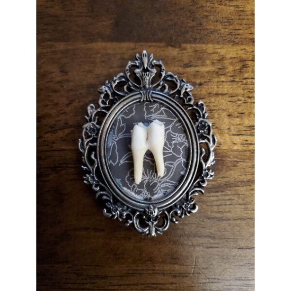 Tooth Frame