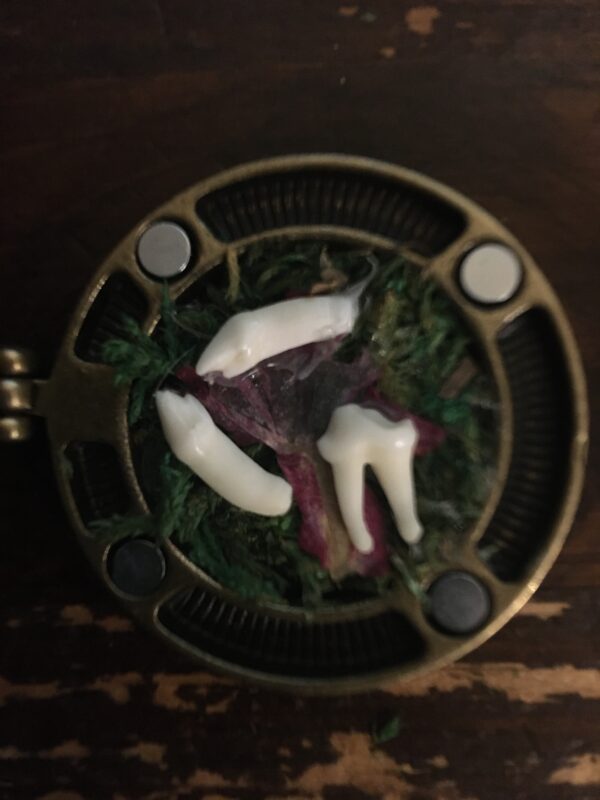 Botanical Garden-Locket - Image 5