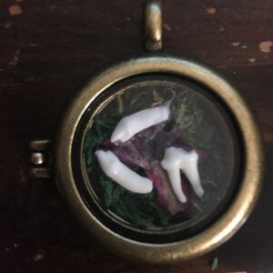 Botanical Garden-Locket