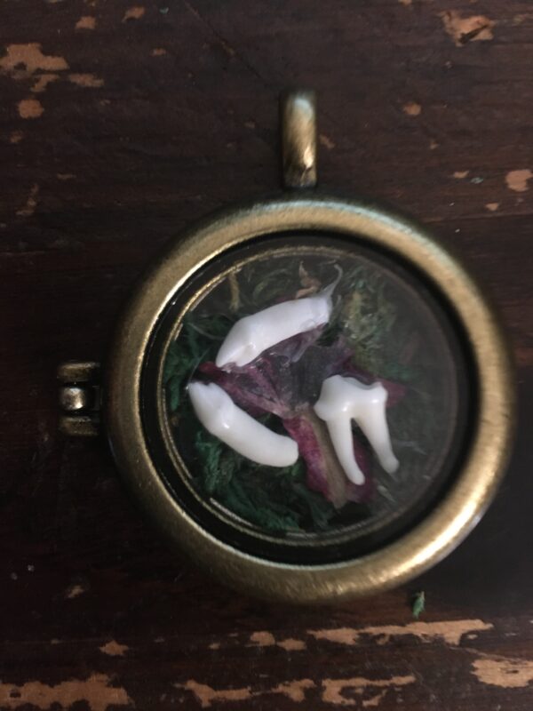 Botanical Garden-Locket