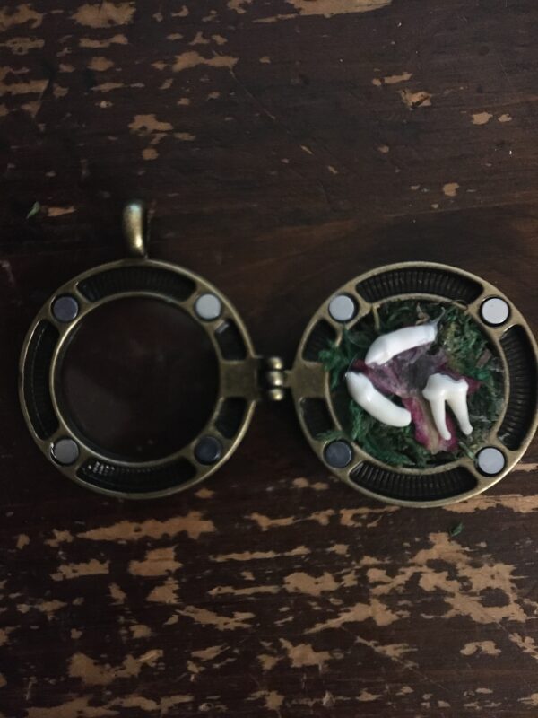 Botanical Garden-Locket - Image 7