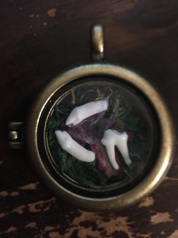 Botanical Garden-Locket - Image 2